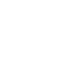 ico-guy