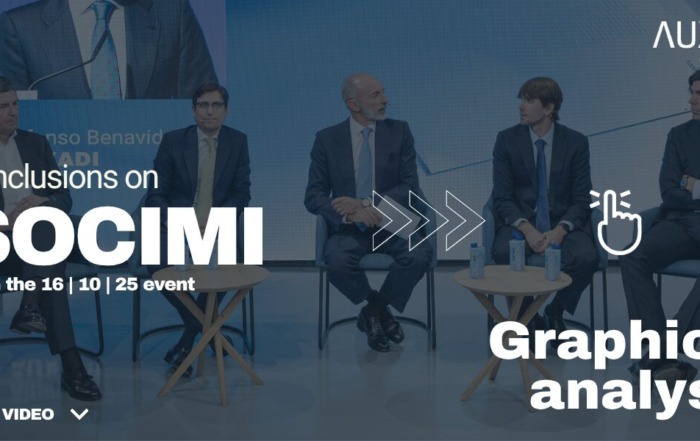 SOCIMI IA