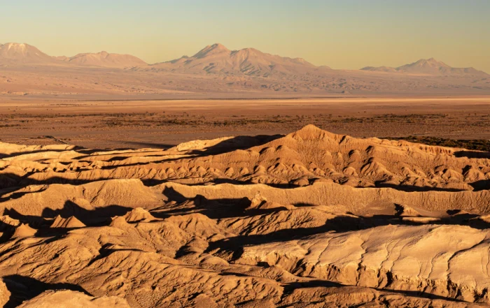Chile Despega investment